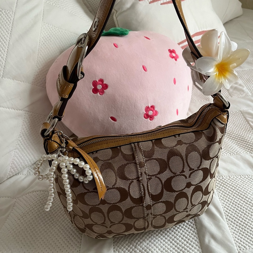 Brown Coach Women's Bag